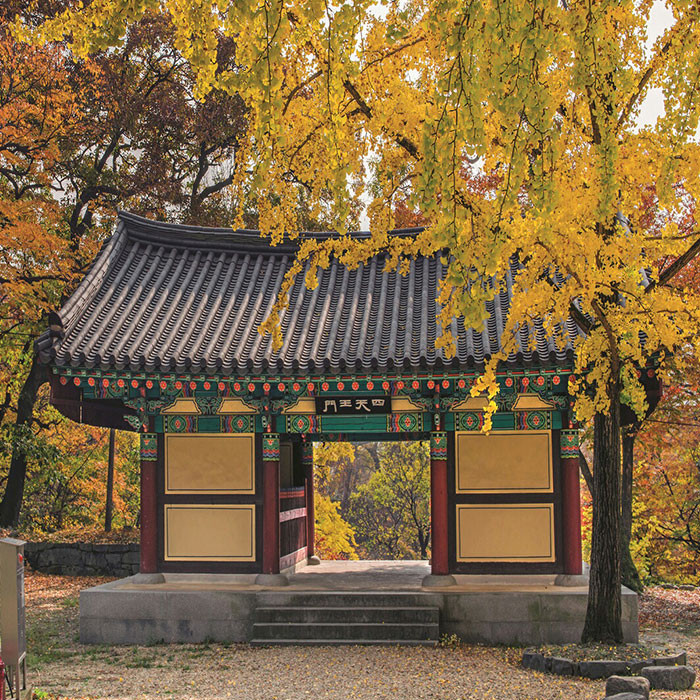 신원사 공식 홈페이지